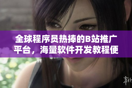 全球程序员热捧的B站推广平台，海量软件开发教程便捷获取