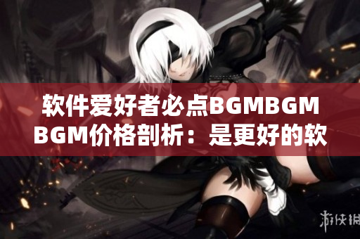 软件爱好者必点BGMBGMBGM价格剖析：是更好的软件BGM选择吗？