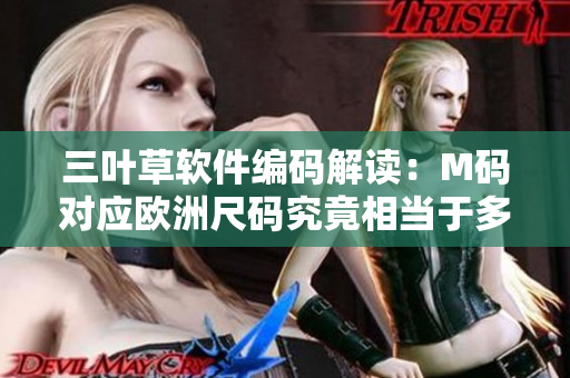 三叶草软件编码解读：M码对应欧洲尺码究竟相当于多少？