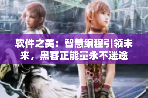软件之美：智慧编程引领未来，黑客正能量永不迷途