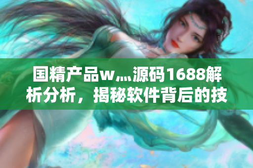 国精产品w灬源码1688解析分析，揭秘软件背后的技术奥秘