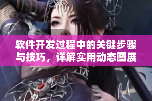 软件开发过程中的关键步骤与技巧，详解实用动态图展示
