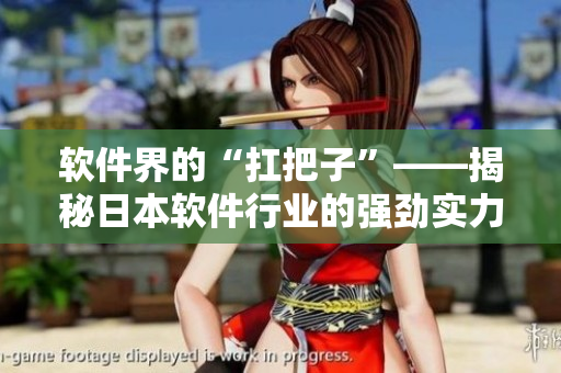 软件界的“扛把子”——揭秘日本软件行业的强劲实力