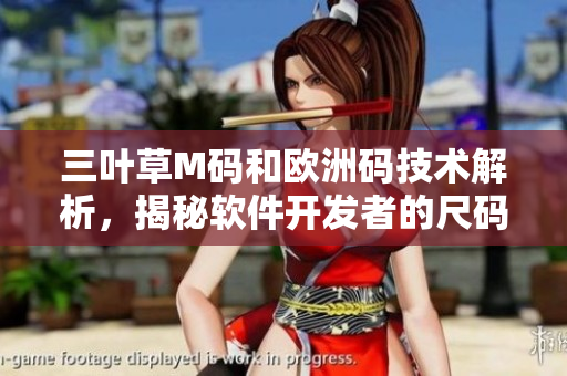 三叶草M码和欧洲码技术解析，揭秘软件开发者的尺码之谜