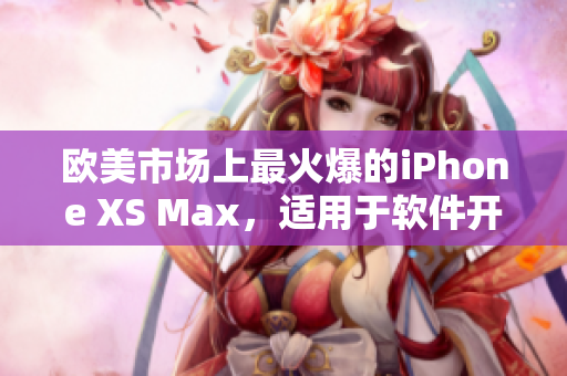 欧美市场上最火爆的iPhone XS Max，适用于软件开发？