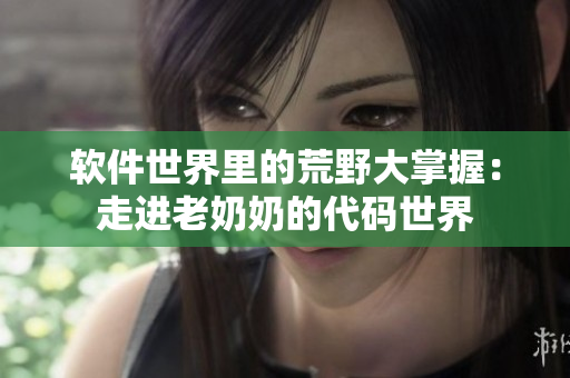 软件世界里的荒野大掌握：走进老奶奶的代码世界