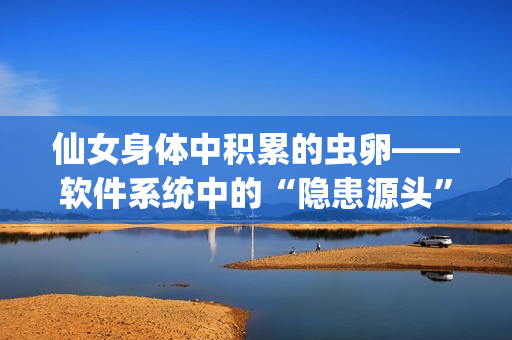 仙女身体中积累的虫卵——软件系统中的“隐患源头”