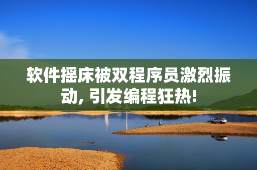 软件摇床被双程序员激烈振动, 引发编程狂热!