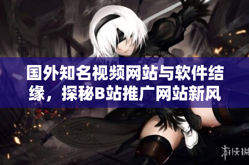 国外知名视频网站与软件结缘，探秘B站推广网站新风向