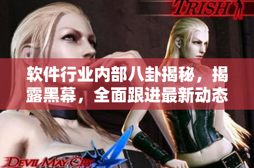 软件行业内部八卦揭秘，揭露黑幕，全面跟进最新动态