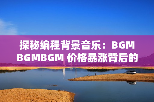 探秘编程背景音乐：BGMBGMBGM 价格暴涨背后的原因
