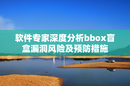 软件专家深度分析bbox盲盒漏洞风险及预防措施
