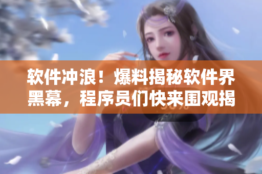 软件冲浪！爆料揭秘软件界黑幕，程序员们快来围观揭秘福利
