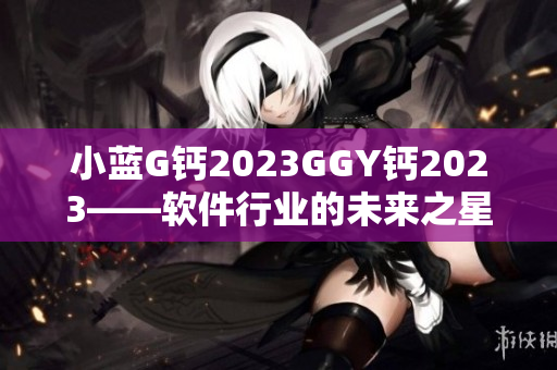 小蓝G钙2023GGY钙2023——软件行业的未来之星
