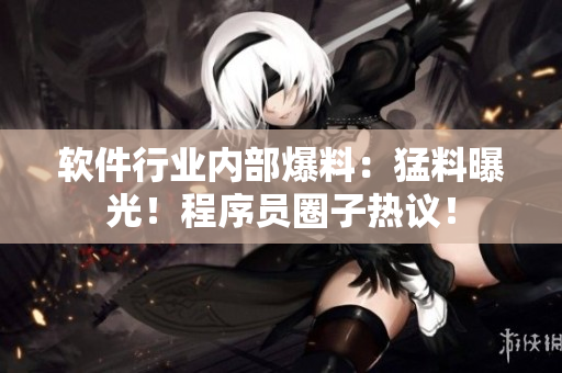 软件行业内部爆料：猛料曝光！程序员圈子热议！