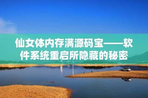 仙女体内存满源码宝——软件系统重启所隐藏的秘密