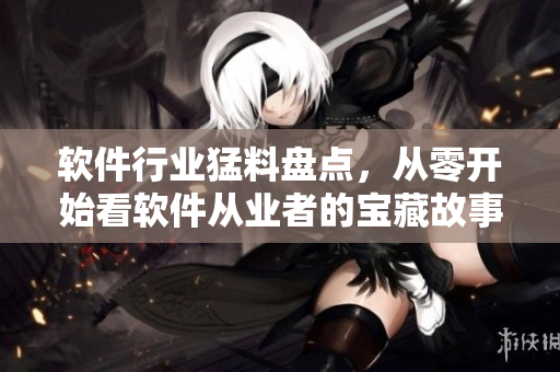 软件行业猛料盘点，从零开始看软件从业者的宝藏故事