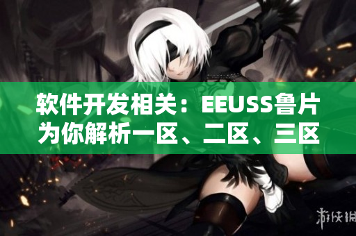 软件开发相关：EEUSS鲁片为你解析一区、二区、三区的奥秘