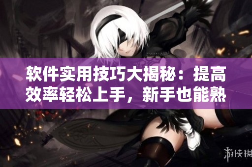 软件实用技巧大揭秘：提高效率轻松上手，新手也能熟练运用