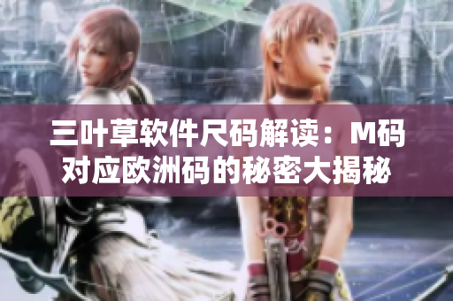 三叶草软件尺码解读：M码对应欧洲码的秘密大揭秘