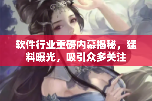 软件行业重磅内幕揭秘，猛料曝光，吸引众多关注