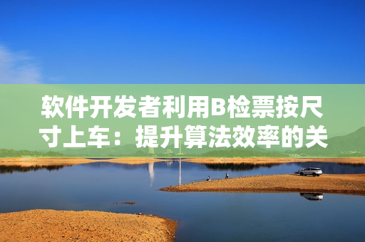 软件开发者利用B检票按尺寸上车：提升算法效率的关键技巧