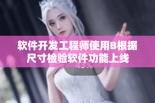 软件开发工程师使用B根据尺寸检验软件功能上线