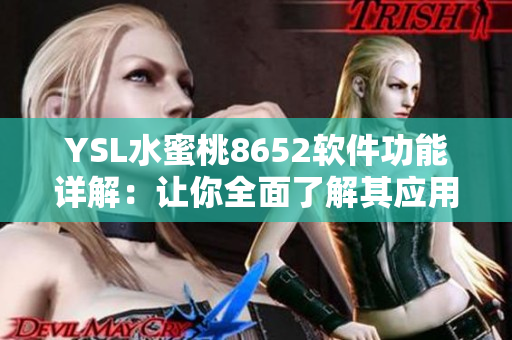 YSL水蜜桃8652软件功能详解：让你全面了解其应用特点
