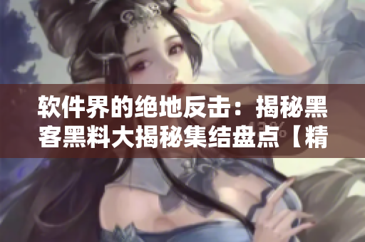 软件界的绝地反击：揭秘黑客黑料大揭秘集结盘点【精选】
