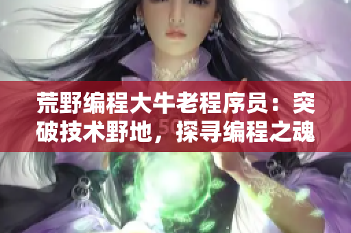 荒野编程大牛老程序员：突破技术野地，探寻编程之魂