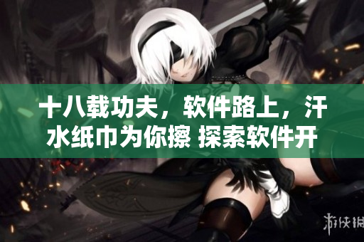 十八载功夫，软件路上，汗水纸巾为你擦 探索软件开发中的艰辛与收获