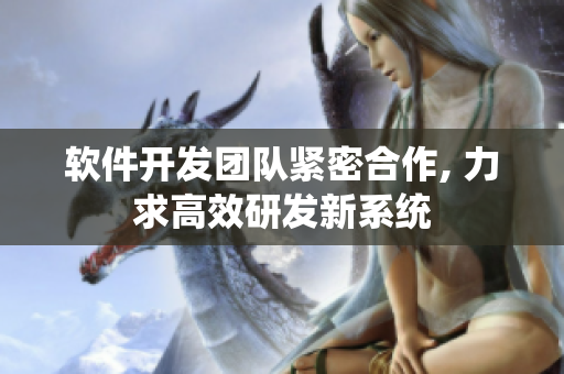 软件开发团队紧密合作, 力求高效研发新系统