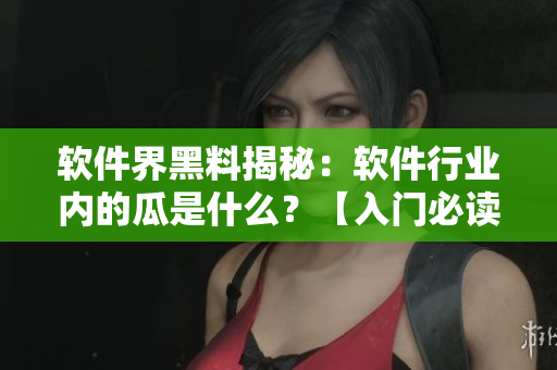 软件界黑料揭秘：软件行业内的瓜是什么？【入门必读】