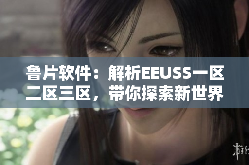 鲁片软件：解析EEUSS一区二区三区，带你探索新世界