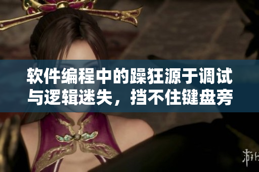 软件编程中的躁狂源于调试与逻辑迷失，挡不住键盘旁的热情与焦虑。
