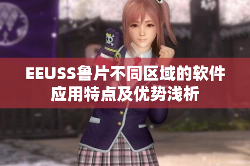 EEUSS鲁片不同区域的软件应用特点及优势浅析