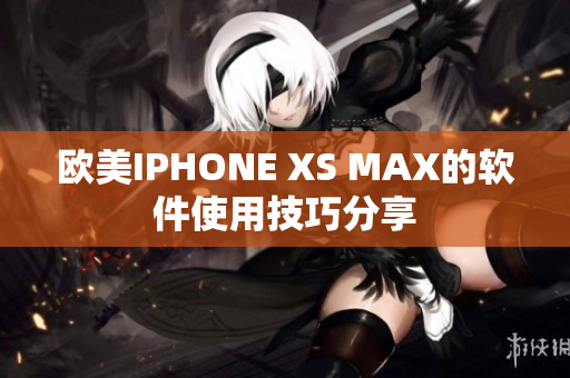 欧美IPHONE XS MAX的软件使用技巧分享