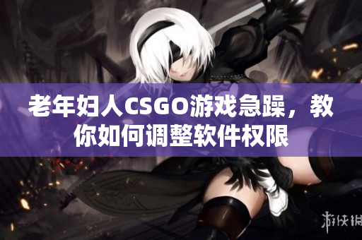 老年妇人CSGO游戏急躁，教你如何调整软件权限