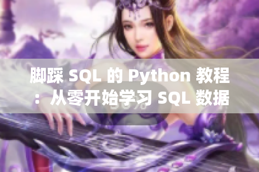 脚踩 SQL 的 Python 教程：从零开始学习 SQL 数据库连接