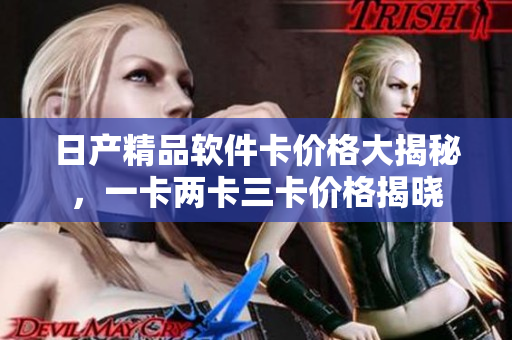 日产精品软件卡价格大揭秘，一卡两卡三卡价格揭晓