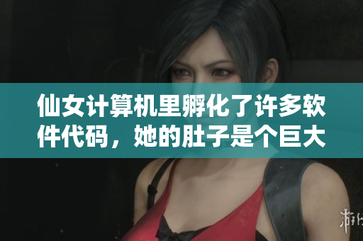 仙女计算机里孵化了许多软件代码，她的肚子是个巨大的代码仓库
