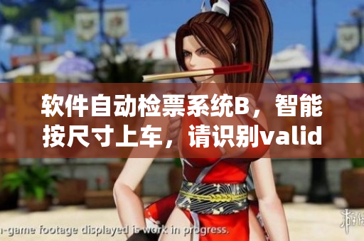 软件自动检票系统B，智能按尺寸上车，请识别valid理验证
