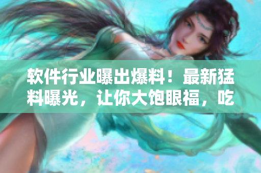 软件行业曝出爆料！最新猛料曝光，让你大饱眼福，吃瓜群众快来围观！