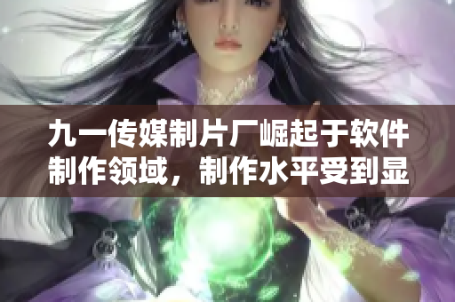 九一传媒制片厂崛起于软件制作领域,制作水平受到显著认可 九一传媒制片厂崛起于软件制作领域,制作水平受到显著认可