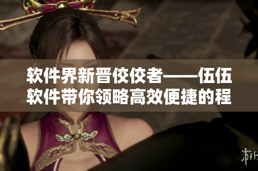 软件界新晋佼佼者——伍伍软件带你领略高效便捷的程序开发之路 软件界新晋佼佼者——伍伍软件带你领略高效便捷的程序开发之路