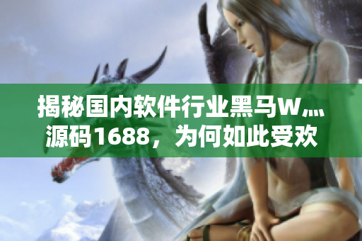 揭秘国内软件行业黑马W灬源码1688，为何如此受欢迎