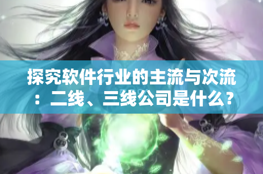 探究软件行业的主流与次流：二线、三线公司是什么？