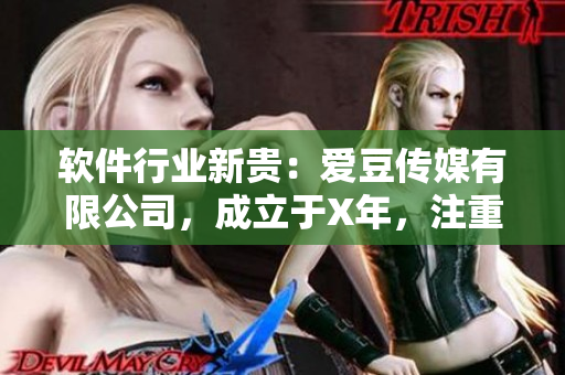 软件行业新贵：爱豆传媒有限公司，成立于X年，注重软件推广与营销