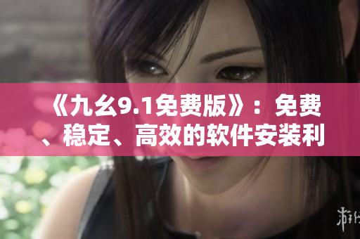 《九幺9.1免费版》：免费、稳定、高效的软件安装利器！