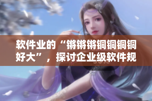 软件业的“锵锵锵铜铜铜铜好大”，探讨企业级软件规模化部署方案！